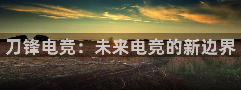 ky开元电竞：刀锋电竞：未来电竞的新边界