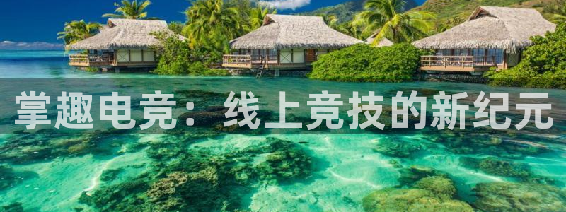 ky开元电竞：掌趣电竞：线上竞技的新纪元