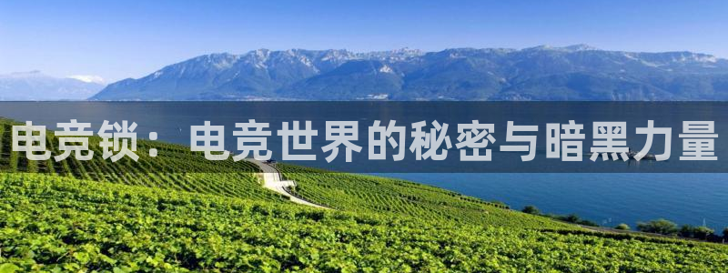 ky电竞馆：电竞锁：电竞世界的秘密与暗黑力量