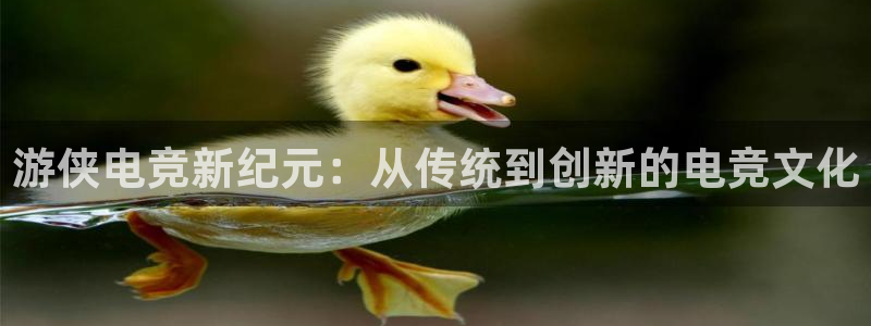 ky开元电竞：游侠电竞新纪元：从传统到创新的电竞文化