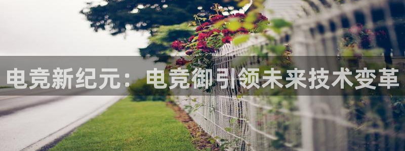 ky电竞：电竞新纪元：电竞御引领未来技术变革