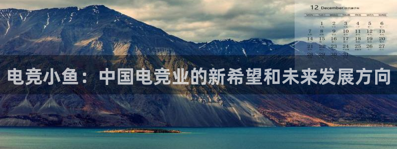 ky电竞：电竞小鱼：中国电竞业的新希望和未来发展方向