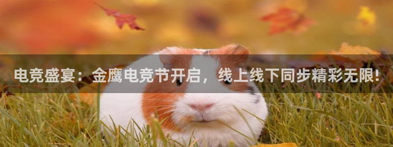 ky开元电竞：电竞盛宴：金鹰电竞节开启，线上线下同步精彩无限!