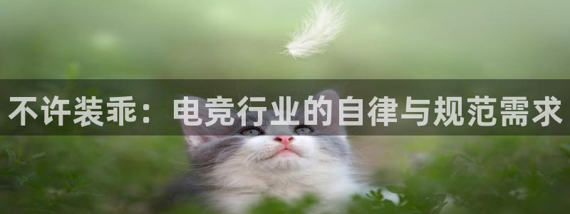 ky电竞：不许装乖：电竞行业的自律与规范需求