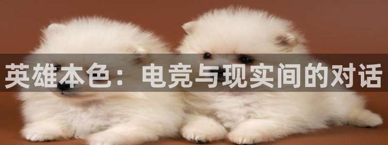 ky开元电竞：英雄本色：电竞与现实间的对话