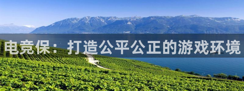 ky电竞：电竞保：打造公平公正的游戏环境